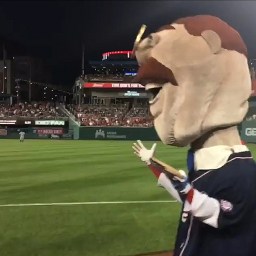 The Nats are halfway through the home season and Teddy Roosevelt hasn’t won a race, so the Loss-O-Meter returns.