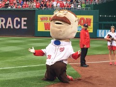 Teddy Roosevelt loses presidents race