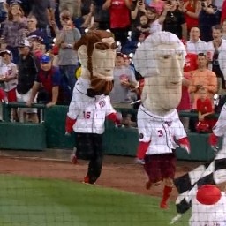 Is Teddy Roosevelt even trying anymore?