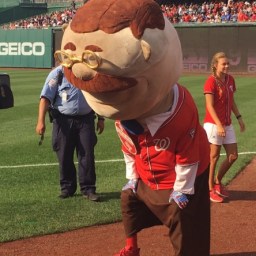 The Nats have clinched. Time to let Teddy win. For Jayson.