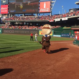 Racing president Teddy Roosevelt completes his seventh winless season