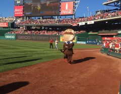 Teddy Roosevelt loss number 81