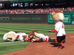 Nationals Presidents Race Opening Day Abe Cheats Teddy Wins